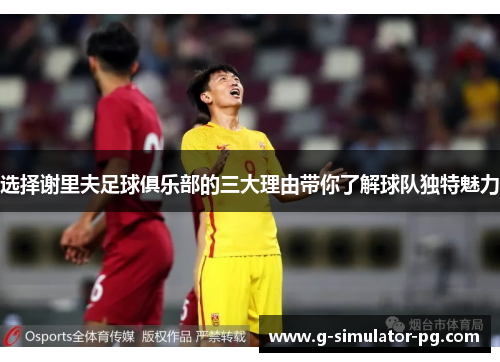 选择谢里夫足球俱乐部的三大理由带你了解球队独特魅力