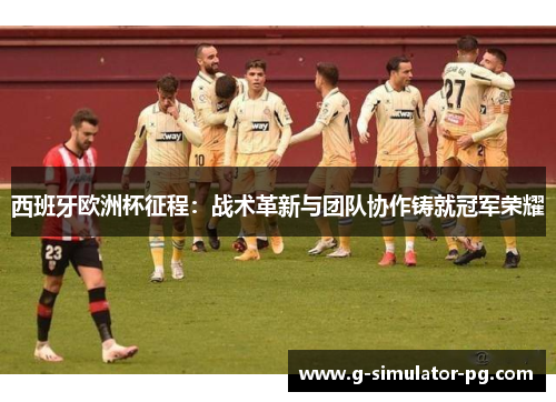 西班牙欧洲杯征程：战术革新与团队协作铸就冠军荣耀