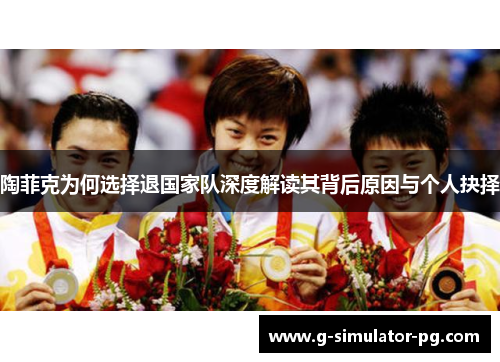 陶菲克为何选择退国家队深度解读其背后原因与个人抉择