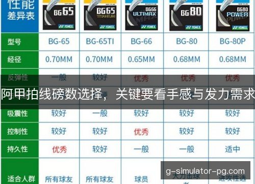 阿甲拍线磅数选择,关键要看手感与发力需求 阿甲拍线磅数选择,关键要看手感与发力需求